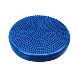 Image for product - Vestibular Disc thumbnail Image for product - Vestibular Disc thumbnail